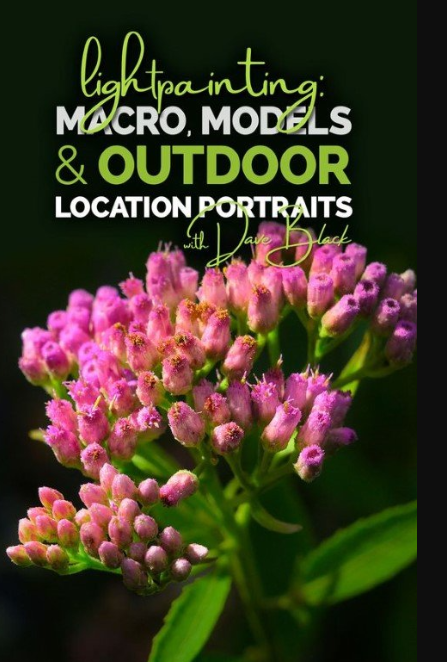 KelbyOne – Lightpainting: Macro, Models, and Outdoor Location Portrait