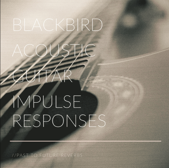 PastToFutureReverbs Blackbird Acoustic Guitar