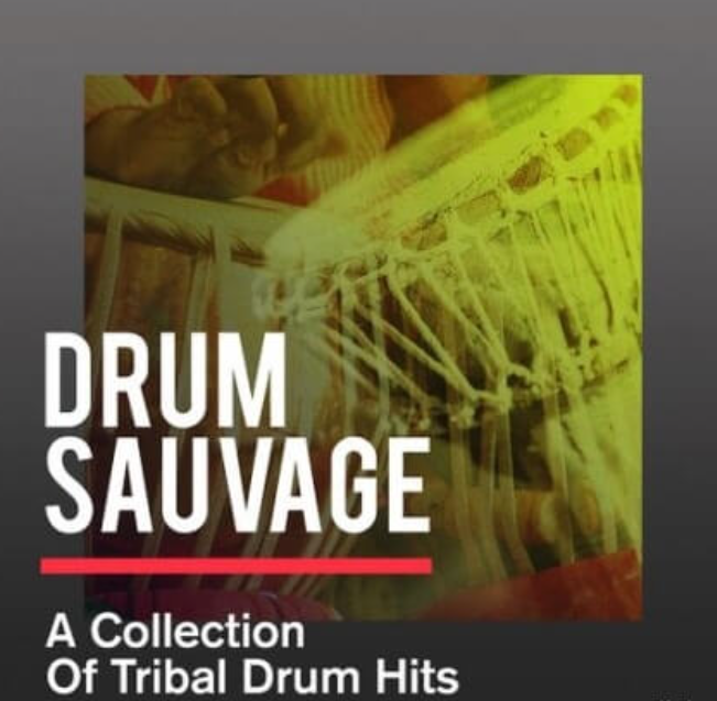 Sonicycle Sonicycle - Drum Sauvage - A Collection Of Tribal Drum Hits