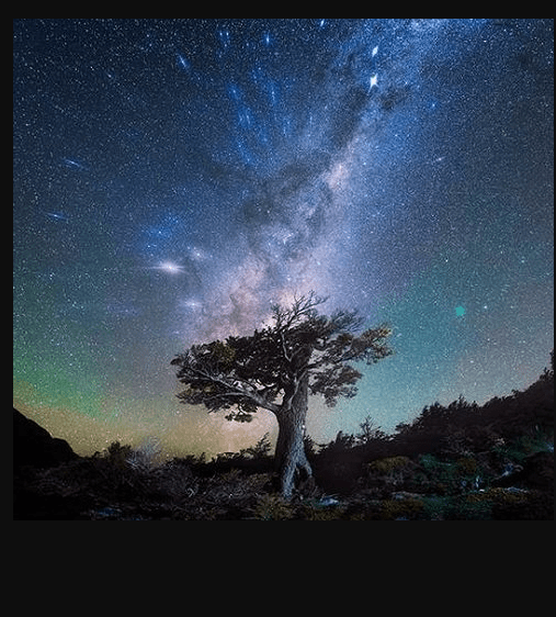 Daniel Kordan Photography – Patagonia Night Sky Panorama Baobab