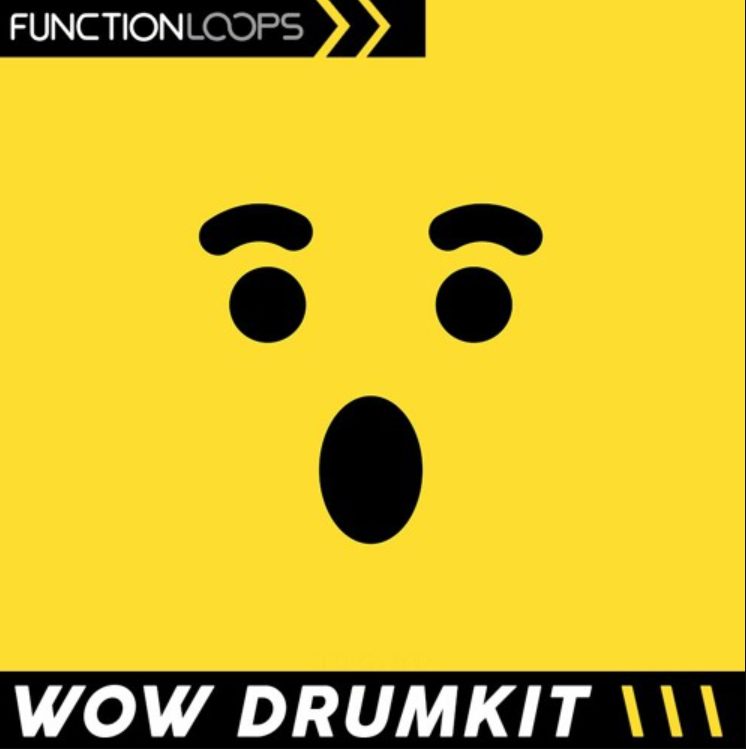 Function Loops Wow Drumkit Hyperpop and Beyond