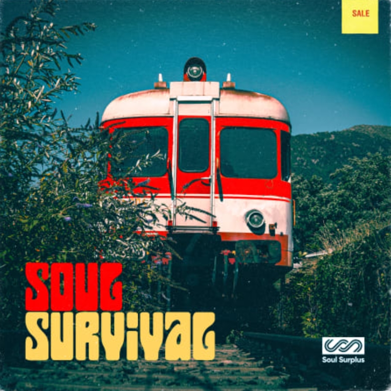 Soul Surplus Soul Survival