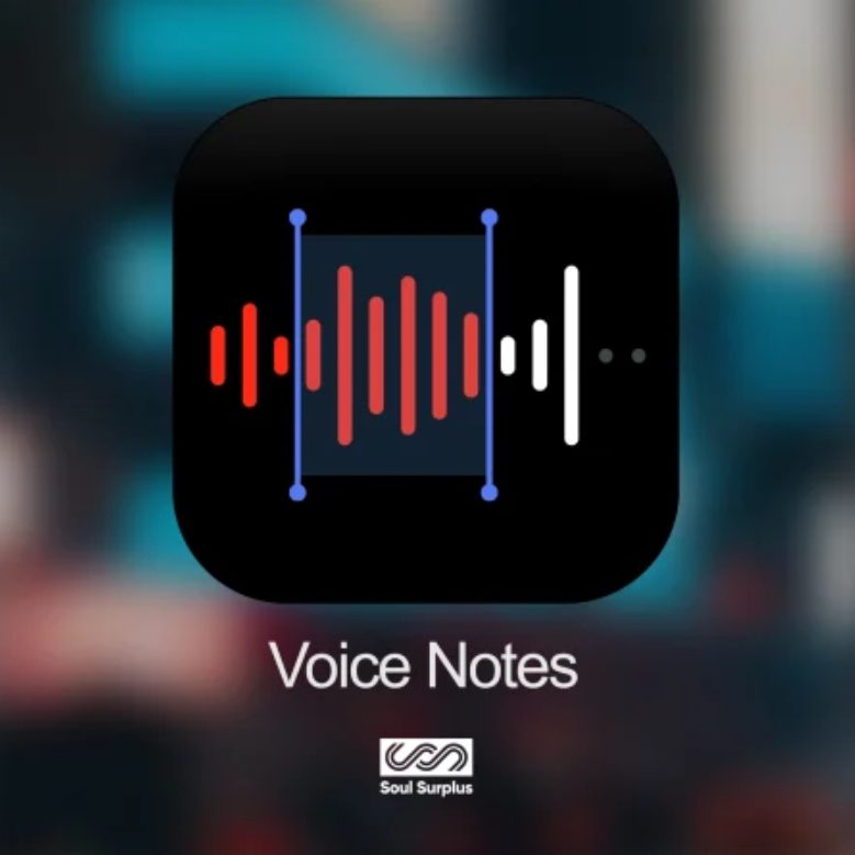 Soul Surplus Voice Notes