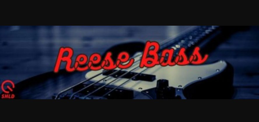 SHLD Music New PRO-1 Analog Sounds: Reese Bass