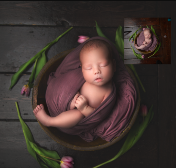 Sweet Soul Studios – May Newborn