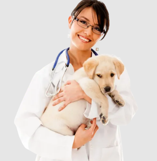 Pet Profits AI – Get Veterinarians and Pet Care Clients in 24 Hours or Less