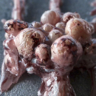 Motion Design Academy – Mastering Houdini on a new level: The Symbiote Creatur