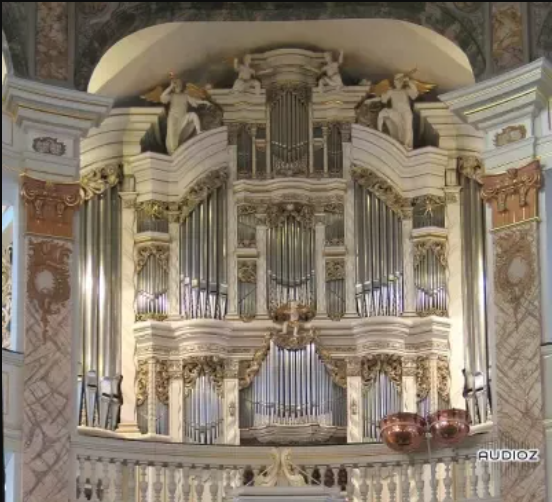 OrganArt Media - 1730 Tobias-Heinrich-Gottfried-Trost Organ