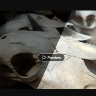 Photoshop: Tips and Quick Fixes (2024)