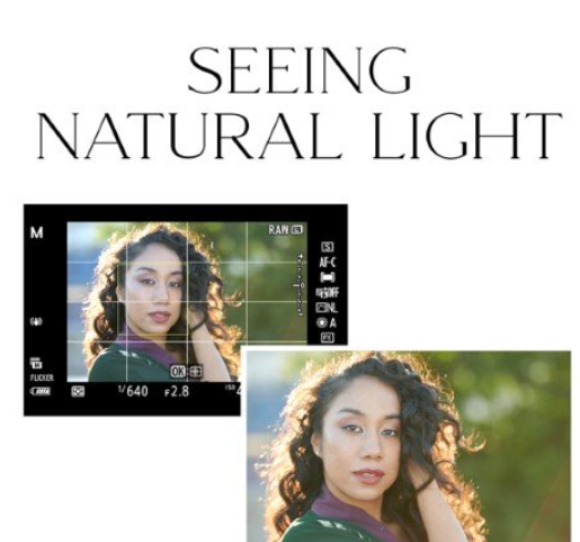 The Portrait Masters – Seeing Natural Light