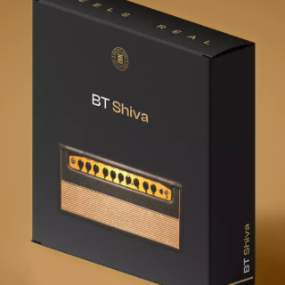 Boutique Tones BT Shiva TONEX