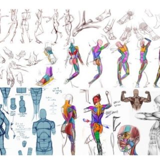 CGMA – Analytical Figure Drawing with Ron Lemen