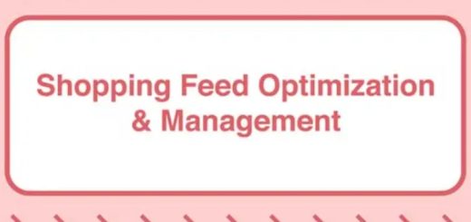 Take Some Risk – Shopping Feed Optimization and Management