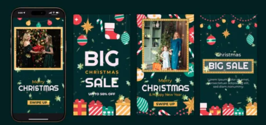 Videohive Merry Christmas Instagram Stories 55664894