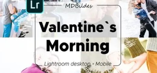 CreativeMarket – 5 Lightroom Presets Valentines Day 4423211