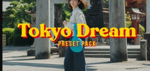 VG Studios Tokyo Dream Preset Pack