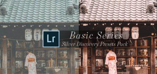 Leica-Review – Basic Silver Discovery Lightroom Presets