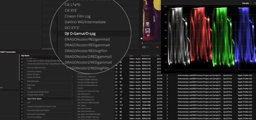 MixingLight – Resolve 17 Color Management Tips and Pat’s Revised Fixed Node Tree