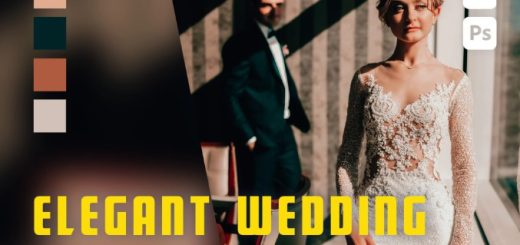 6 Elegant Wedding Lightroom and Photoshop Presets