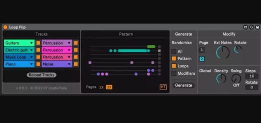 XY StudioTools Loop Flip v1.1