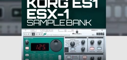 Ocean Swift Faxinadu Korg ES1 ESX-1 Samplebank