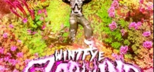 wintfye "丂tar山ind" stash kit final vol.2k24
